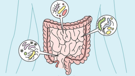 آمیبیازیس, آمیبیازیس خارج روده ای, تشخیص آمیبیازیس
