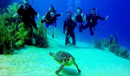 تورهای یک روزه غواص