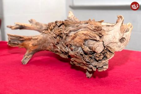 چوب،اخبار گوناگون،خبرهای گوناگون