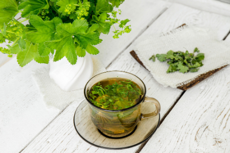 گیاه پای شیر, خاصیت گیاه پای شیر