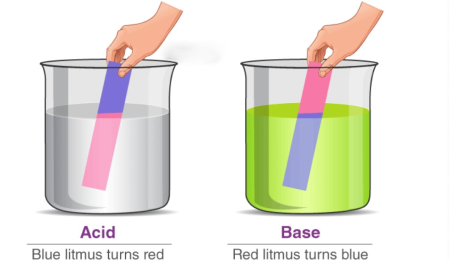 تاریخچه کاغذ تورنسل, مزایا و معایب کاغذ تورنسل