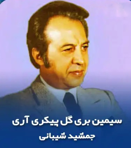 آهنگ سیمین بری, بهترین آهنگ‌های جمشید شیبانی