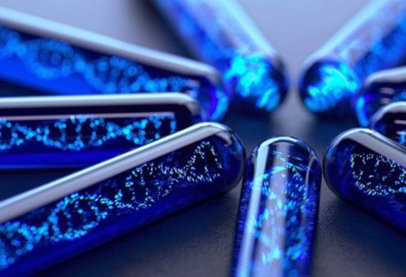 نسب فرزند در ازدواج موقت,روش‌های قانونی اثبات نسب