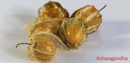 بهترین مکمل‌های گیاهی برای بدنسازی, افزایش تستوسترون با گیاهان دارویی