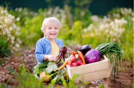 ضرورت مکمل‌های غذایی برای کودکان