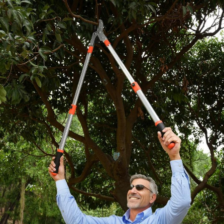 قیچی شاخه زن,خرید قیچی شاخه زن