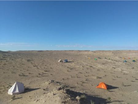 دایناسور،اخبار گوناگون،خبرهای گوناگون