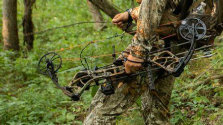 خرید کمان کامپوند, بهترین کمان کامپوند برای شکار