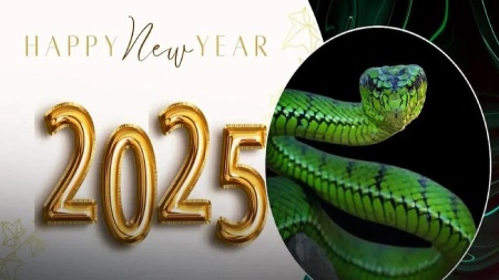 فال سالانه ماه های مختلف در سال 2025-1404