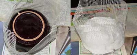 روش های کاشت سبزه عدس,نکاتی برای کاشت سبزه عدس