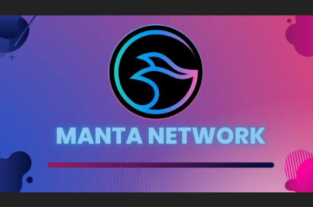 شبکه منتا, پلتفرم غیرمتمرکز مانتا