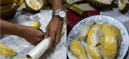 بهترین روش‌های نگهداری خارگیل, زمان نگهداری خارگیل 