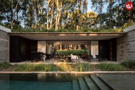 خانه جنگلی،اخبار گوناگون،خبرهای گوناگون