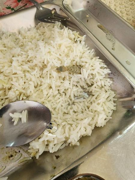 دانشگاه علوم پزشکی کاشان،اخبار دانشگاه،خبرهای دانشگاه