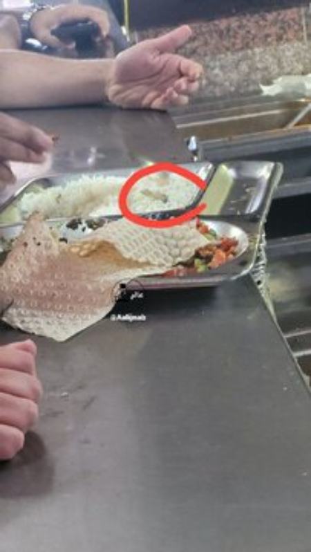 دانشگاه علوم پزشکی کاشان،اخبار دانشگاه،خبرهای دانشگاه