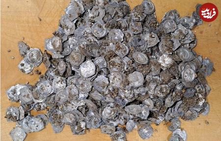 گنج سکه،اخبار گوناگون،خبرهای گوناگون