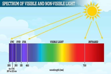 رنگ بنفش،اخبار علمی،خبرهای علمی