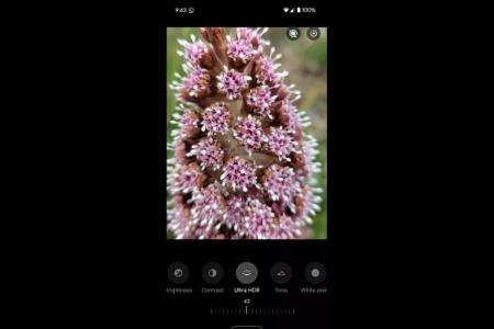 گوگل Photos،اخبار تکنولوژی،خبرهای تکنولوژی