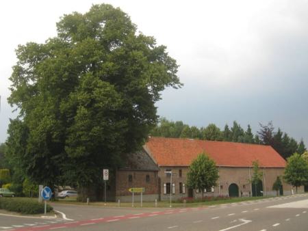 جنگ جهانی دوم،اخبار گوناگون،خبرهای گوناگون