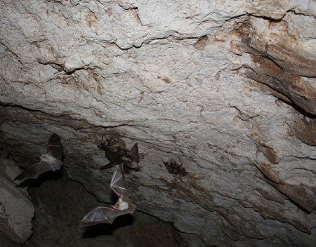 غار چهل ستون ایلام, غار چل سه توین