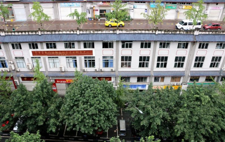 شهر آینده‌نگر, معماری چونگ‌کینگ