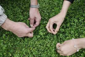 سیزده بدر 1395,نحسی سیزده بدر,دروغ سیزده بدر,تاریخچه سیزده بدر