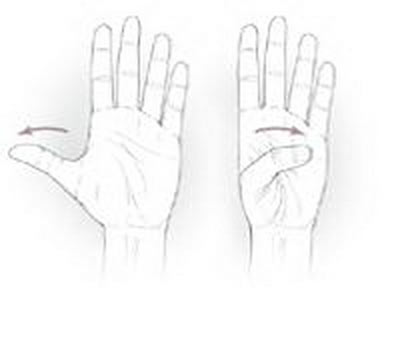 مچ دست,علت درد مچ دست,حرکات ورزشی مچ دست