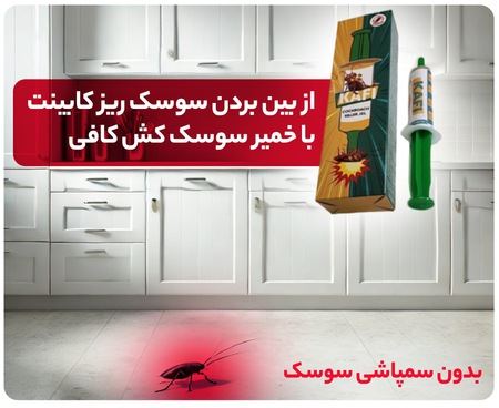 تنها راه از بین بردن سوسک کابینت