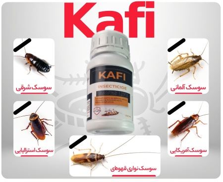 از بین بردن سوسک کابینت، فاضلاب و انواع سوسک ها با سمپاشی سوسک