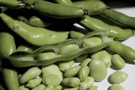 پوست کندن باقلا, خشک کردن باقلا به روش خانگی