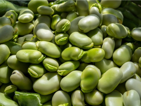 پوست کندن باقلا, خشک کردن باقلا به روش خانگی