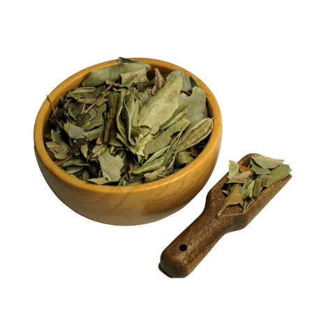 گیاه بولدو, سم‌زدایی کبد با بولدو