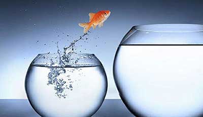 روانشناسی ترس