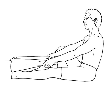  تاندون آشیل, عضلات تاندون آشیل