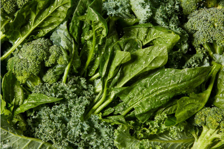 غذاهای پاک‌کننده شریان, پاکسازی شریان‌ها