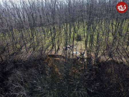 مردی با تبر سنگی،اخبار گوناگون،خبرهای گوناگون