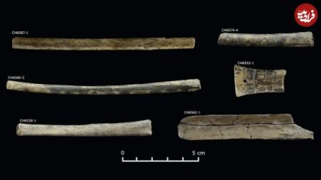 تمدن باستان،اخبار گوناگون،خبرهای گوناگون