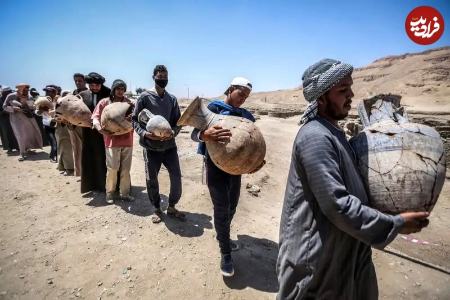 ماهی طلایی در مصر،اخبار گوناگون،خبرهای گوناگون