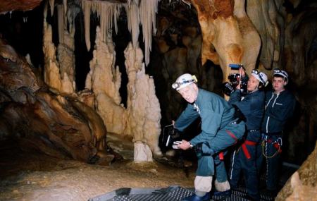 فیلم‌های سه بعدی،اخبار فرهنگی،خبرهای فرهنگی