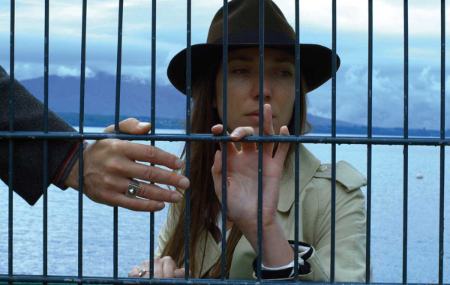 فیلم‌های سه بعدی،اخبار فرهنگی،خبرهای فرهنگی