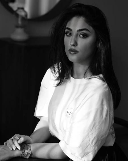 رامینا ترابی،اخبار فرهنگی،خبرهای فرهنگی