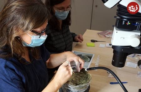 گنج،اخبار گوناگون،خبرهای گوناگون