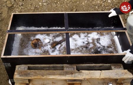 مقبره،اخبار گوناگون،خبرهای گوناگون