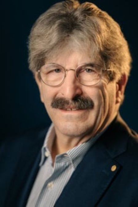 میکروrna, تنظیم ژن