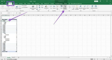 فیلتر جدول زمانی اکسل, فیلتر زمانی در اکسل