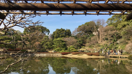 آثار کاخ ادو, بازسازی کاخ ادو