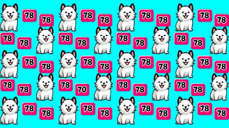 شکل متفاوت را پیدا کنید, معمای تصویری