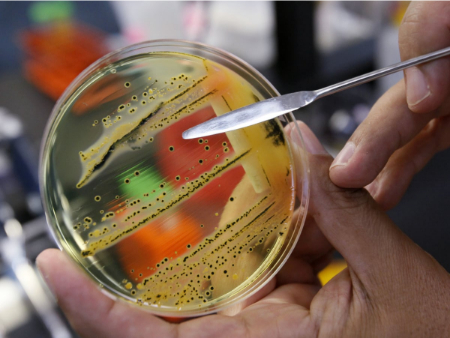 باکتری‌های خطرناک, بیماری‌های ناشی از باکتری