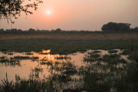 kaladu-national-park-india-2
