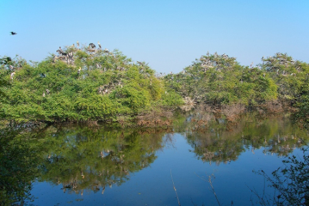 kaladu-national-park-india-6
